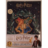 Harry Potter calendrier de l'Avent